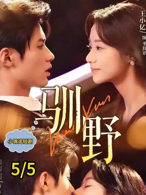 我们仨的夏天 都市家庭剧全集